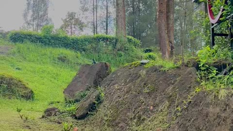 Afternoon Atmosphere in Brastagi Laukawar