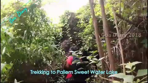 Paliem Sweet water lake- Secret beaches of Goa, Travel Vlog, July-Aug 2018
