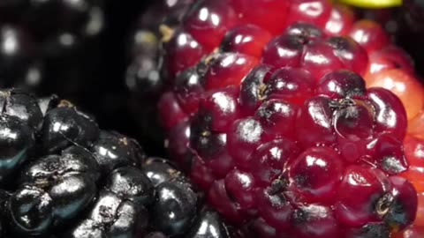 Premature Gray Hair?