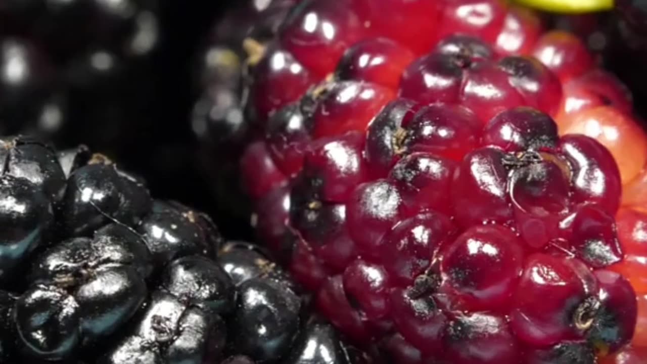 Premature Gray Hair?