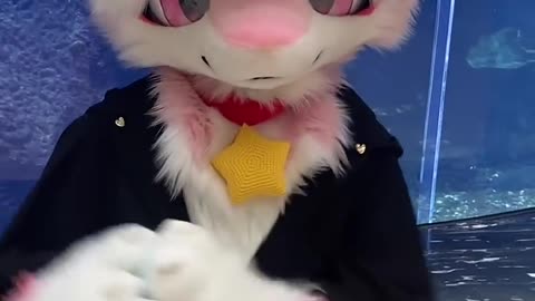 Furry cute #3