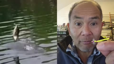 Caught BASS eating Dragonfly, Match the Hatch with... 🤔 #bassfishing #fishing #flyfishing