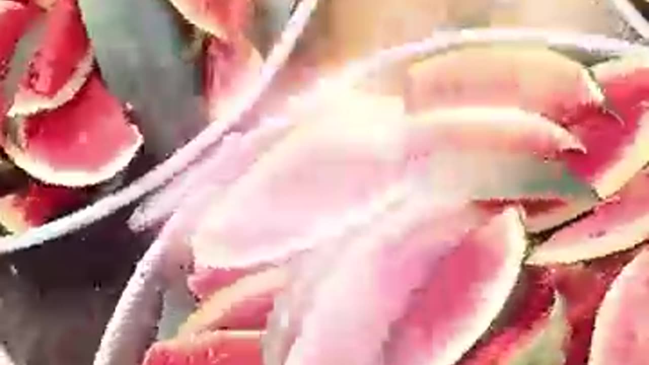 ✝️𝐓𝐡𝐞 𝐁𝐢𝐠𝐠𝐞𝐬𝐭 𝐀𝐣𝐧𝐚𝐥𝐚, 𝐀𝐦𝐫𝐢𝐭𝐬𝐚𝐫 𝐌𝐞𝐞𝐭𝐢𝐧𝐠✝️ | #ankurnarulaministries #langar‪@AnugrahTV‬