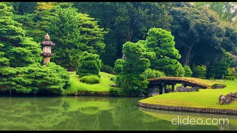 Gardening SEO Expert in New Delhi