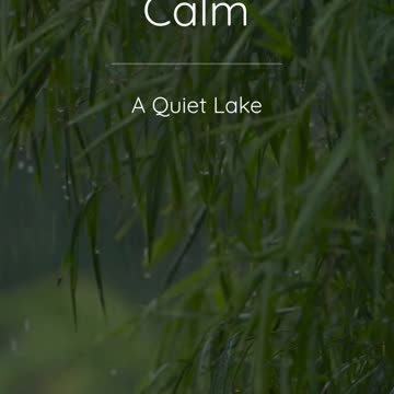 90 Second Guided Meditation at a Quiet Lake – Instant Calm & Mindfulness