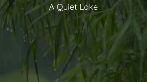 90 Second Guided Meditation at a Quiet Lake – Instant Calm & Mindfulness