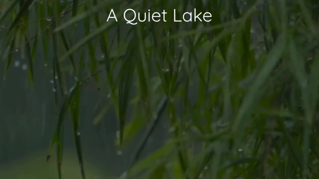 90 Second Guided Meditation at a Quiet Lake – Instant Calm & Mindfulness