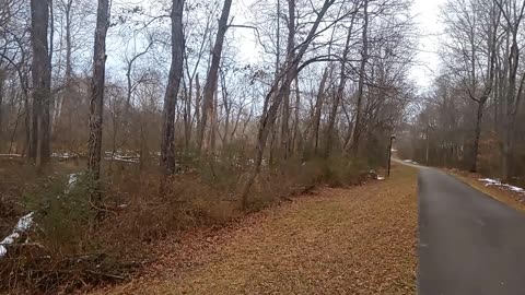 Dogwood Park winter footage