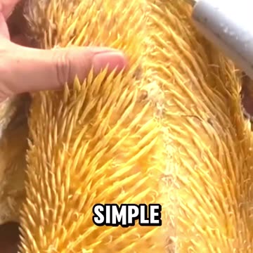 How the Electric Poultry Feather Pluckier Works?