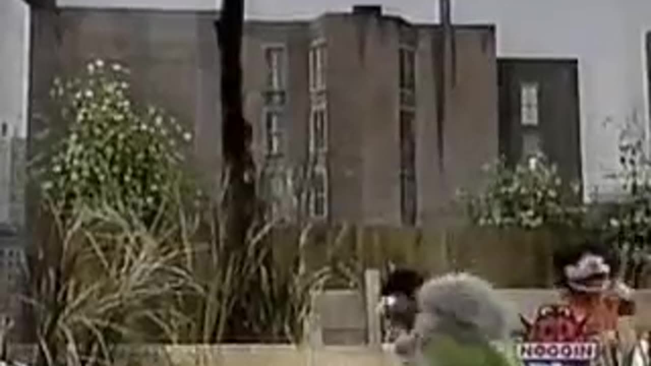 Sesame Street Episode 2040