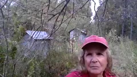 🦠Morgellons 😖The Shaking!!🌟