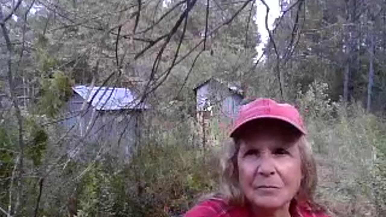 🦠Morgellons 😖The Shaking!!🌟