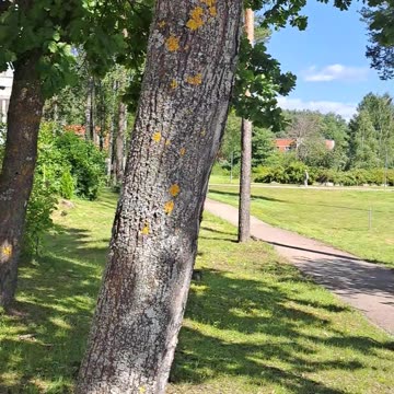 Beautiful View, Perfect Weather: Life is Amazing! ✨