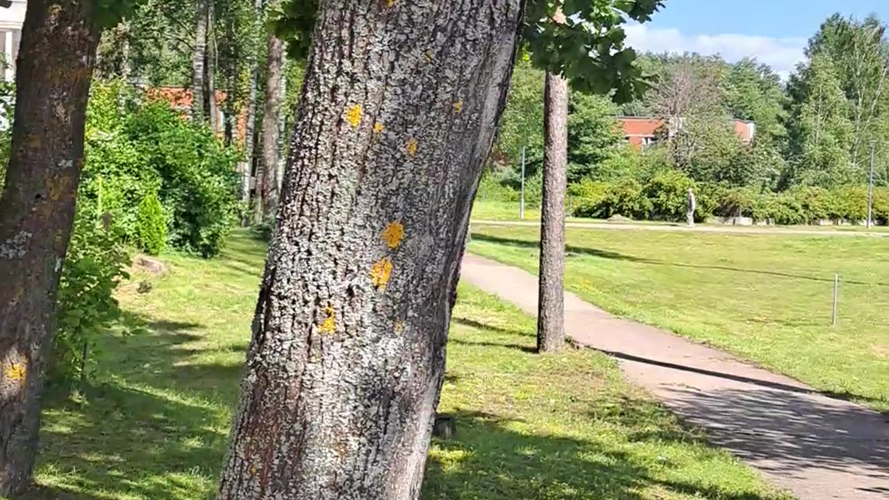 Beautiful View, Perfect Weather: Life is Amazing! ✨