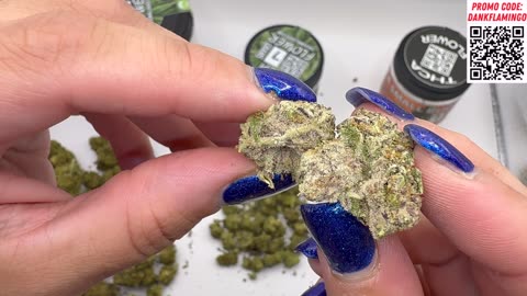 Join Mrs Dank Flamingo in Trying 3 Strain from THCA Small Buds!!
