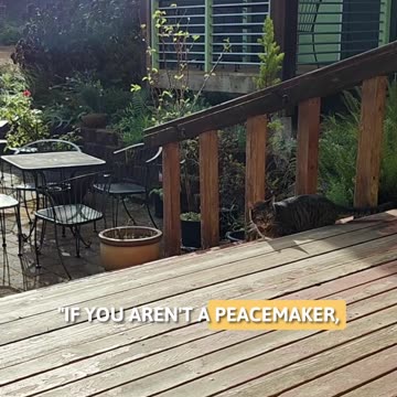 Don't Be A Troublemaker