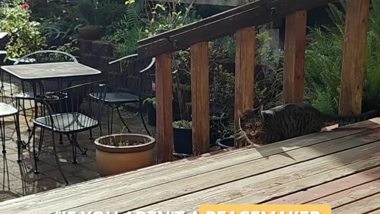 Don't Be A Troublemaker