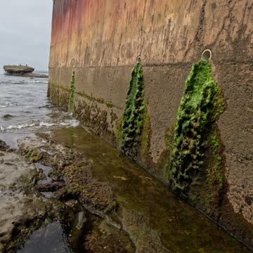 Cool Water Walk #beach #sand #sandiego