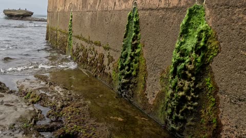 Cool Water Walk #beach #sand #sandiego