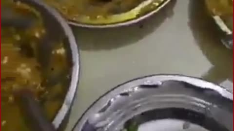 Dead Rat in Paneer Sabzi: Badaun Dhaba Sparks Food Safety Uproar