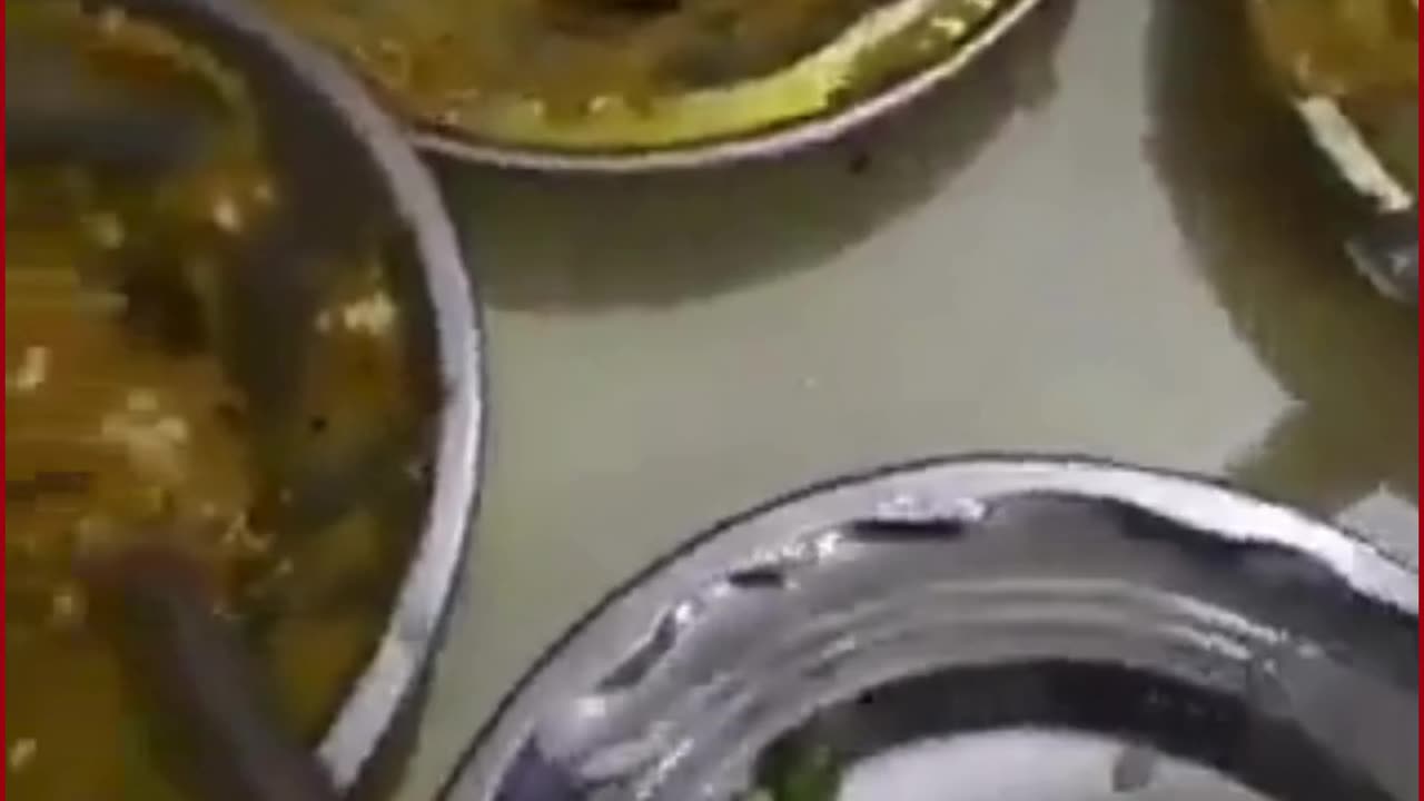 Dead Rat in Paneer Sabzi: Badaun Dhaba Sparks Food Safety Uproar