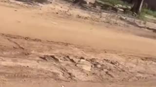 😂🤯 You Won't Believe This Hide and Seek Move! | FunFM