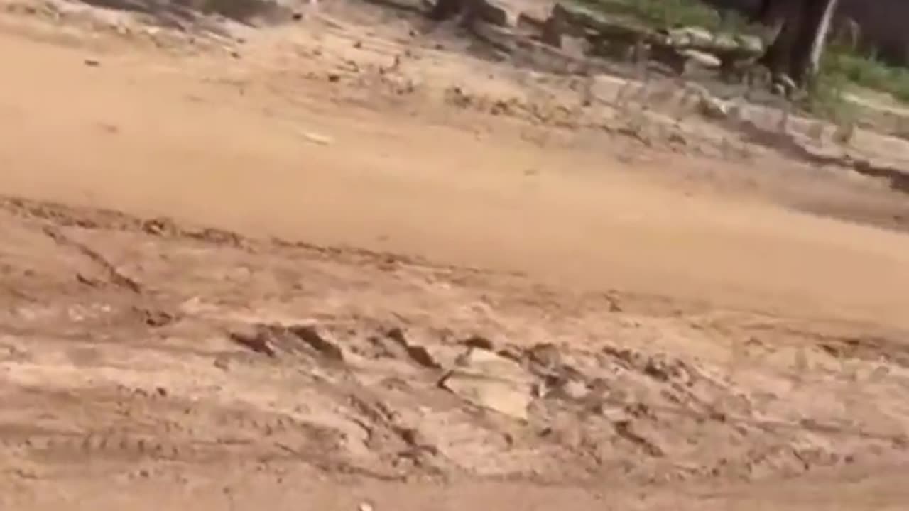 😂🤯 You Won't Believe This Hide and Seek Move! | FunFM