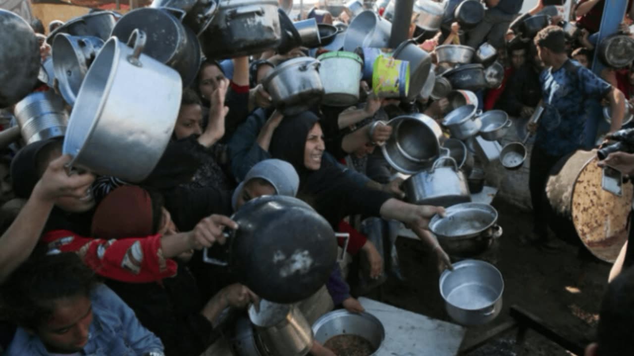 875 people confirmed dead trying to source food in recent weeks