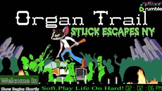 ----Stuck Gaming----
