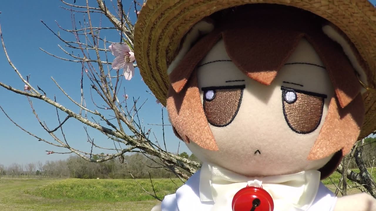Spring is here