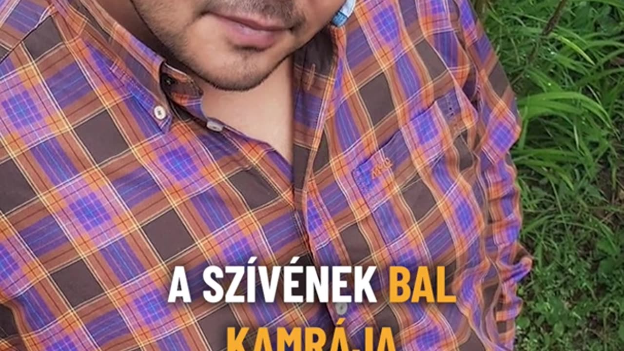 Kórházba került a TV2 sztárja | Ripost