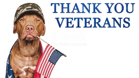 Dixie The Praying Dog Honors Our Heroes! 🇺🇸 Nightly Scroll w/ Hayley Caronia