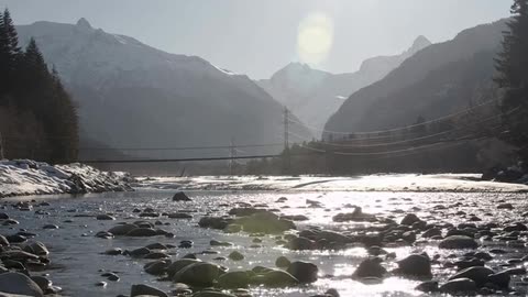 Daily Horoscope | Aquarius 🌟