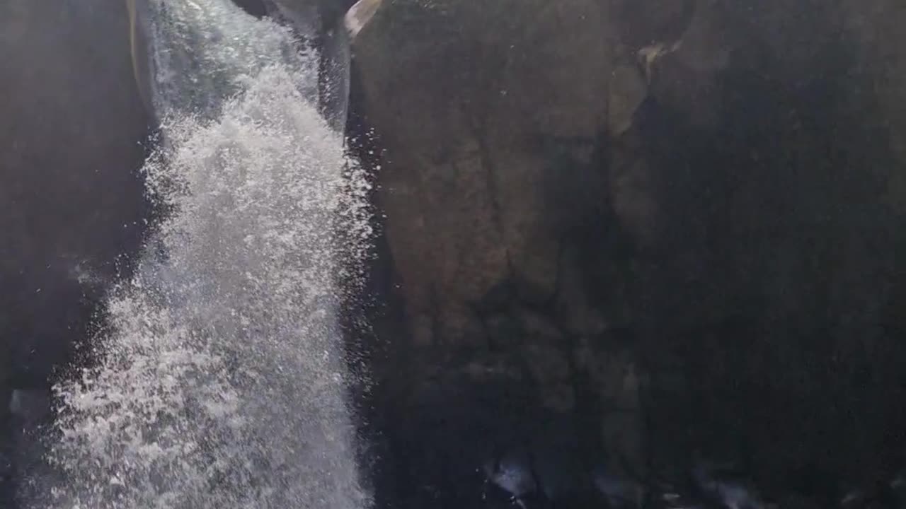 🌊 Chasing Waterfalls in Bukidnon | Expat Adventures in the Philippines.