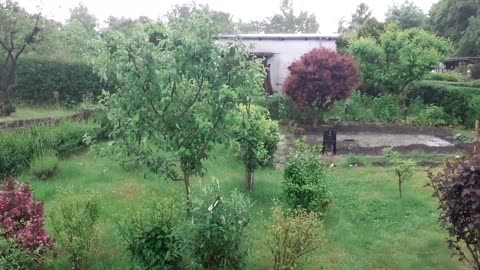 Gewitterregen 05/25 Garten Laubenpieper
