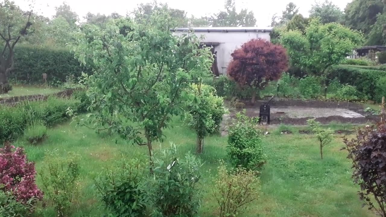 Gewitterregen 05/25 Garten Laubenpieper