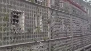 Ukraine war combat footage 7/29/25