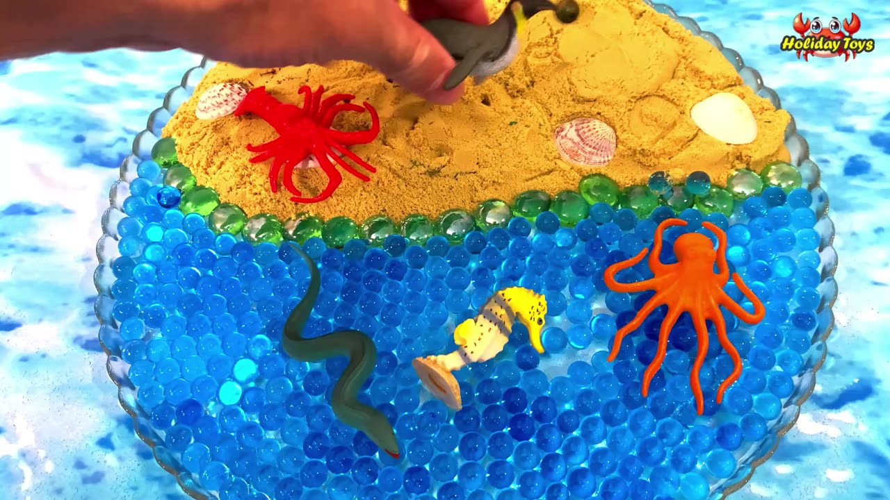 Playing with Shells on the Island in Middle of Lagoon