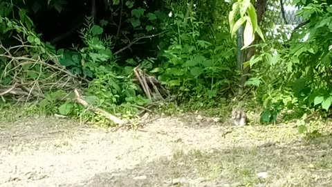 I see movement