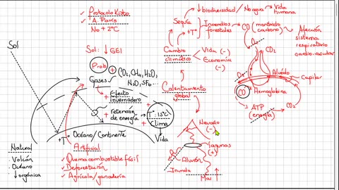 ANUAL ADUNI 2025 | Semana 09 | Física S1 | Geografía