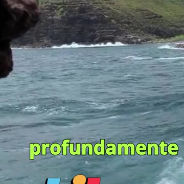 😊 224 “LA GRATITUD ABRE EL FLUJO DE BENDICIONES” Salmo 118:24 😊