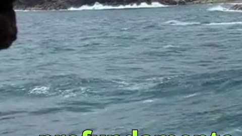 😊 224 “LA GRATITUD ABRE EL FLUJO DE BENDICIONES” Salmo 118:24 😊