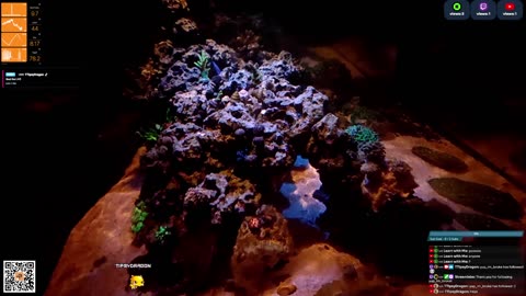 24/7 Real Live Reef Stream
