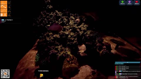 24/7 Real Live Reef Stream