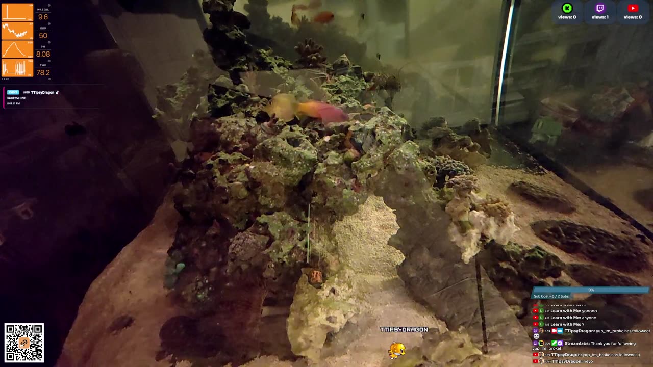24/7 Real Live Reef Stream
