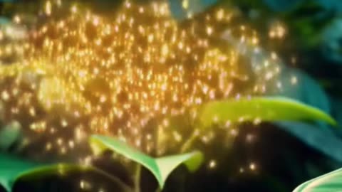 Luma (Glowbug) Ep03 Help the little star