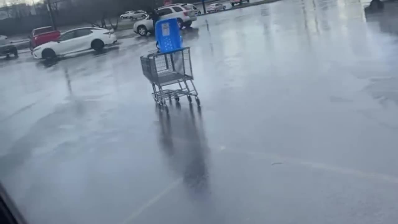 When the Shopping Cart Has Beef With Your Car 😭💥