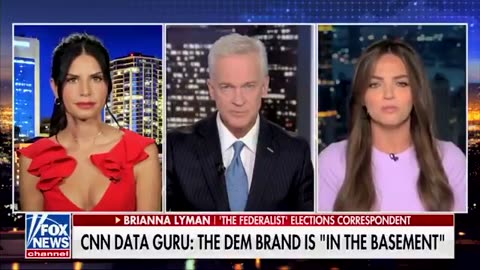Democrats Are Failing Because They're Focused on Branding Instead of Policies