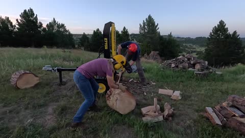 Firewood for winter