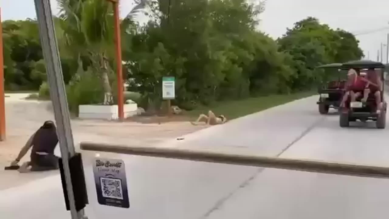 "Fight Turns Into Shocking Chaos – Unexpected Incident Stuns Everyone!"